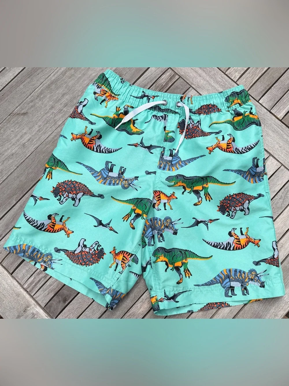 KIDS HANNA ANDERSSON Dinosaur Print Swim Trunks - Aqua - SIZE 10